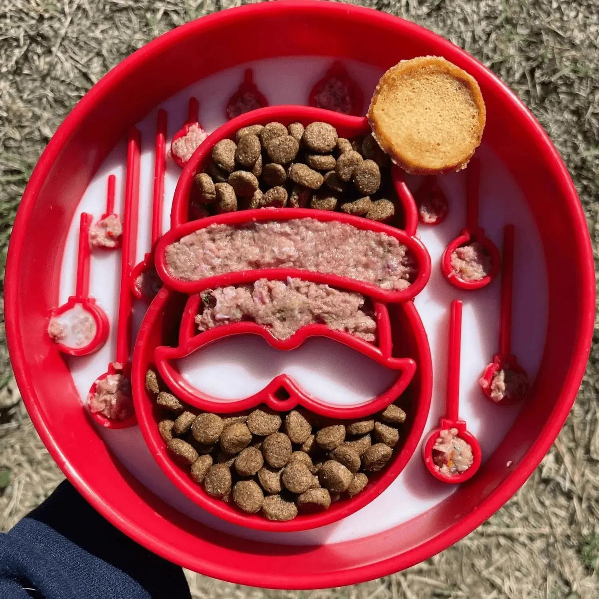 Slow Feeder Dog Bowls - Dog Bowl