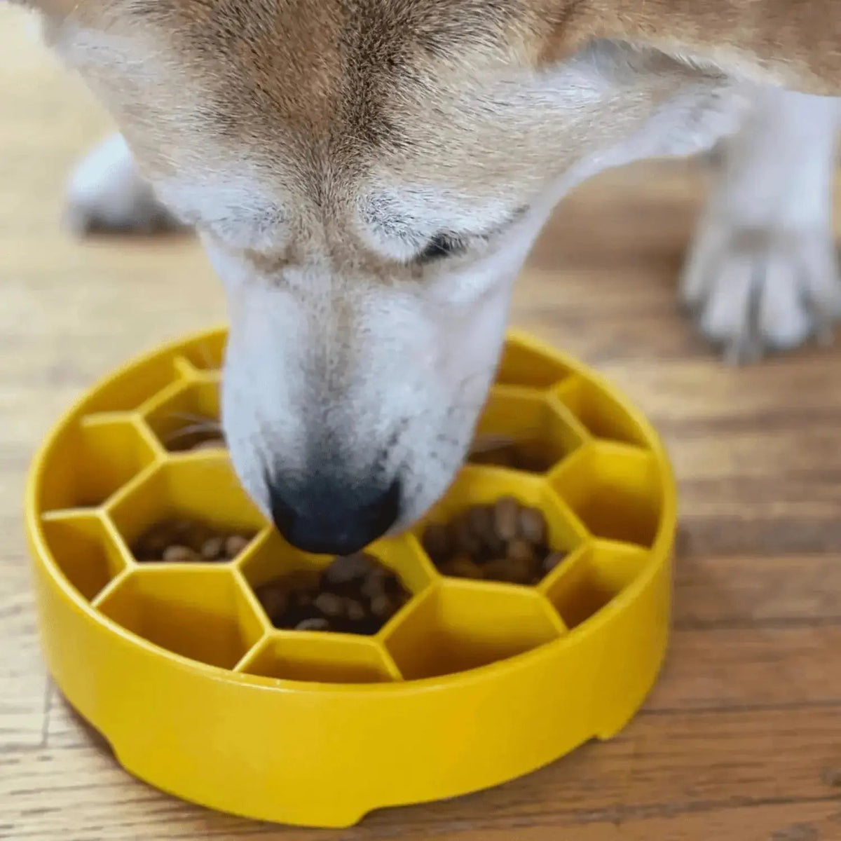 Slow Feeder Dog Bowls - Dog Bowl