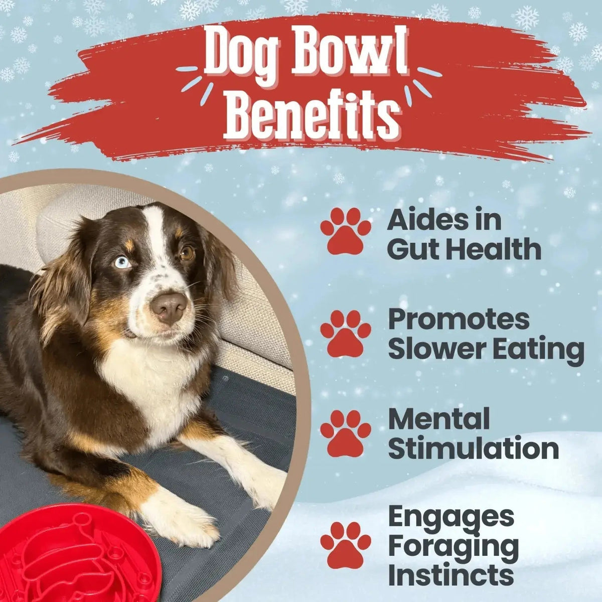 Slow Feeder Dog Bowls - Dog Bowl