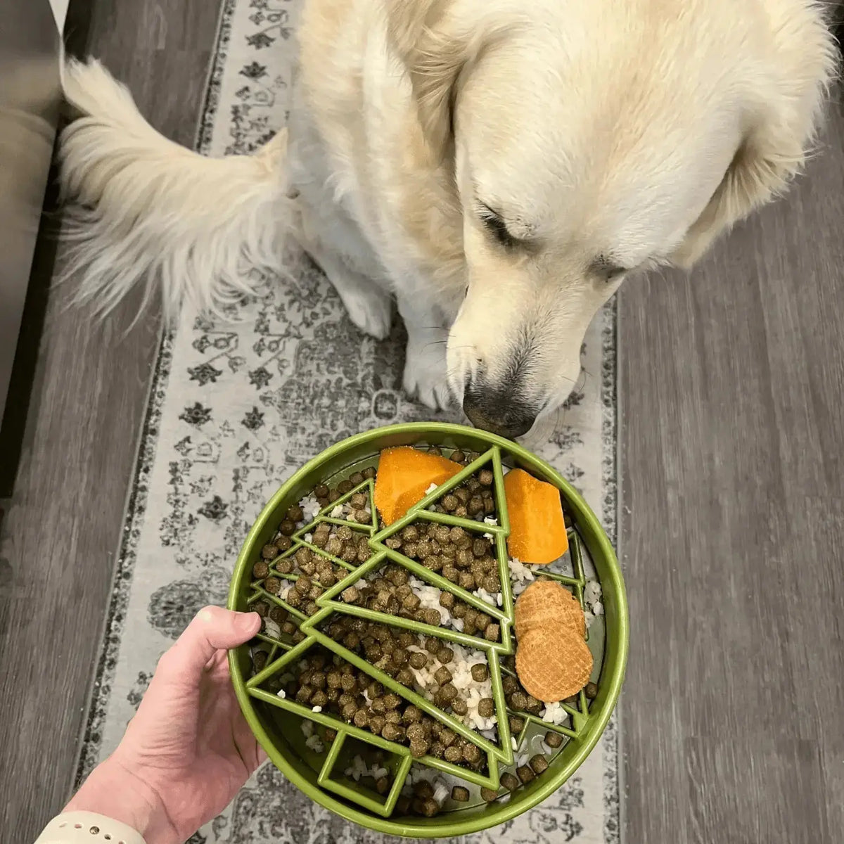 Slow Feeder Dog Bowls - Dog Bowl
