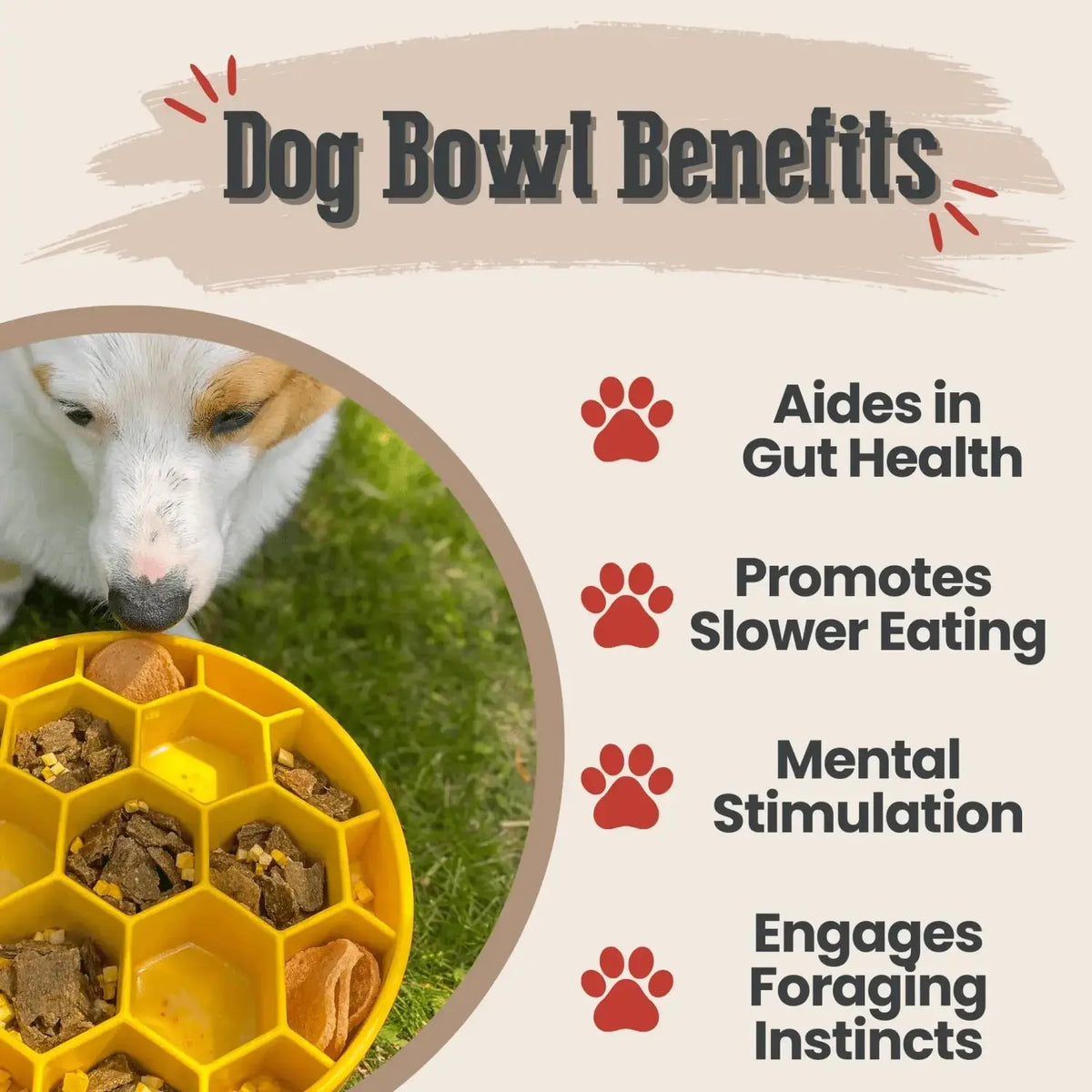 Slow Feeder Dog Bowls - Dog Bowl