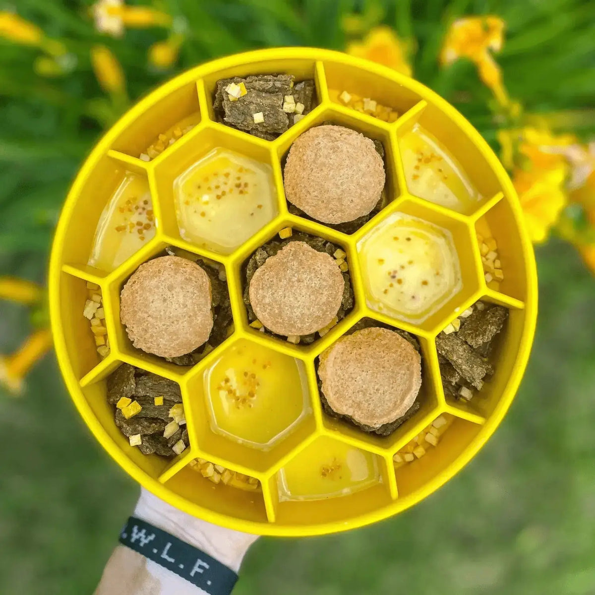 Slow Feeder Dog Bowls - Dog Bowl