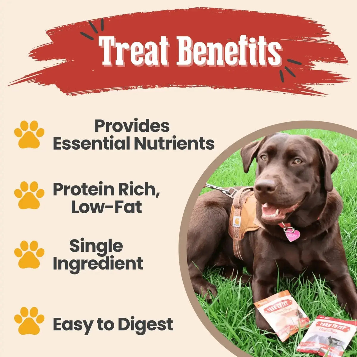 Snack Pack Dog Treat Sampler - Snack Pack
