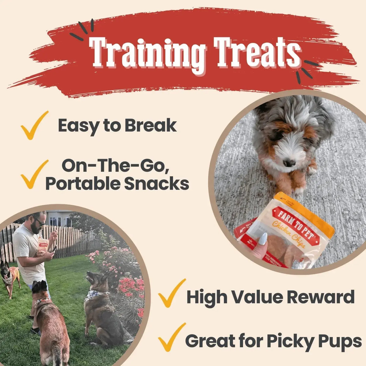 Snack Pack Dog Treat Sampler - Snack Pack
