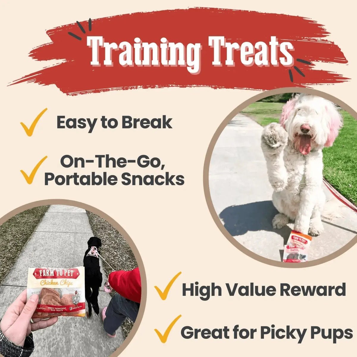 Snack Pack Dog Treat Sampler - Snack Pack