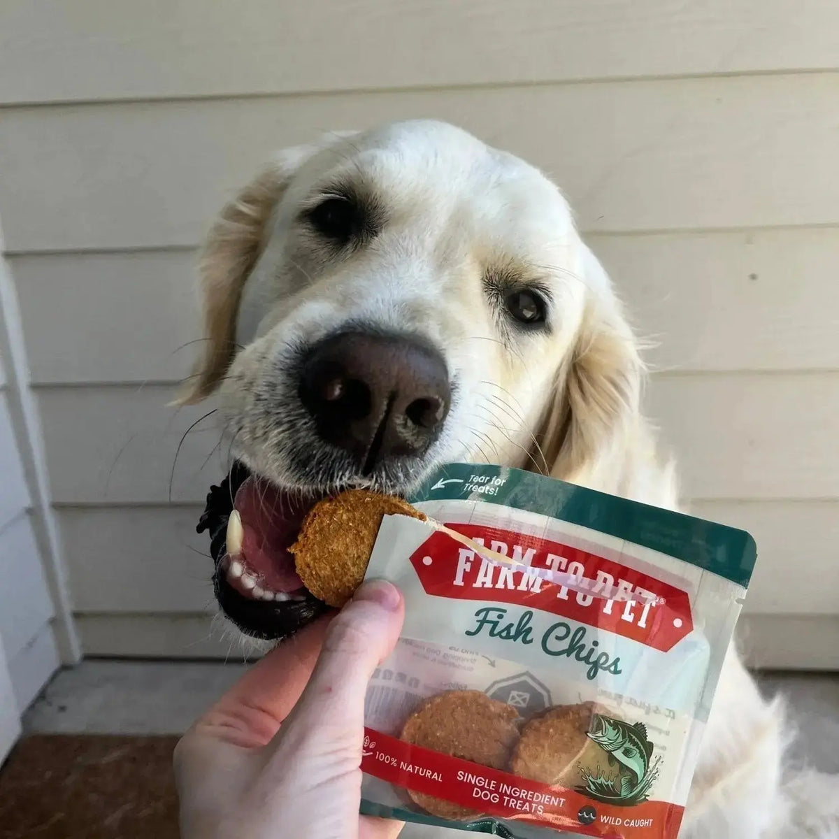 Snack Pack Dog Treat Sampler - Snack Pack