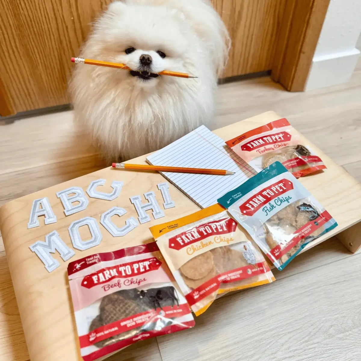 Snack Pack Dog Treat Sampler - Snack Pack