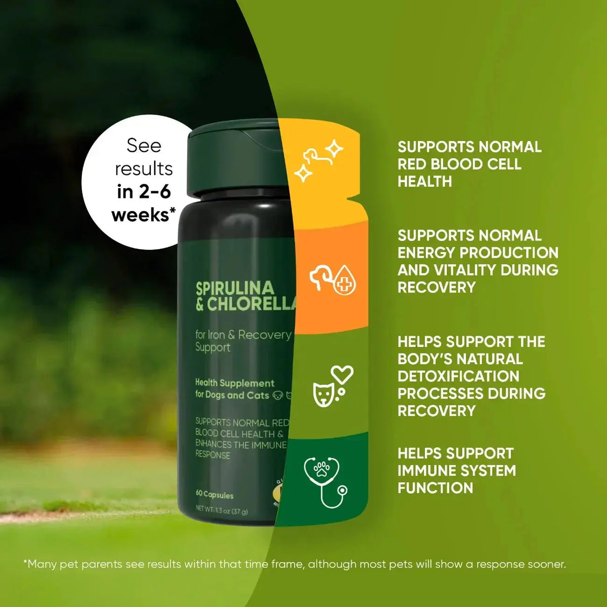 Spirulina & Chlorella Rooted Owl Pet Supplements