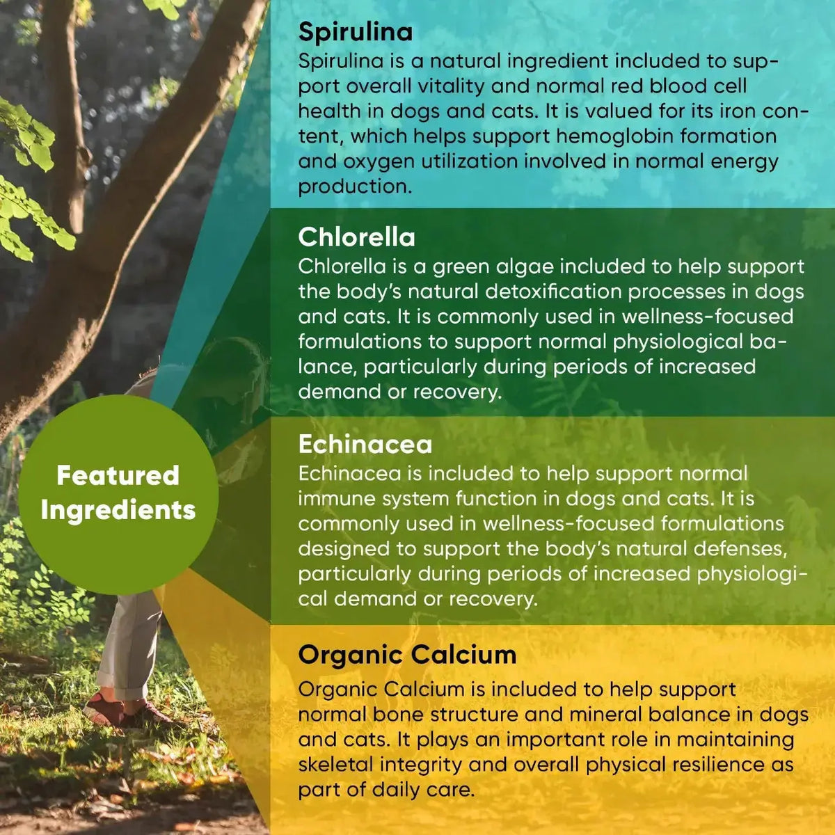 Spirulina & Chlorella Rooted Owl Pet Supplements