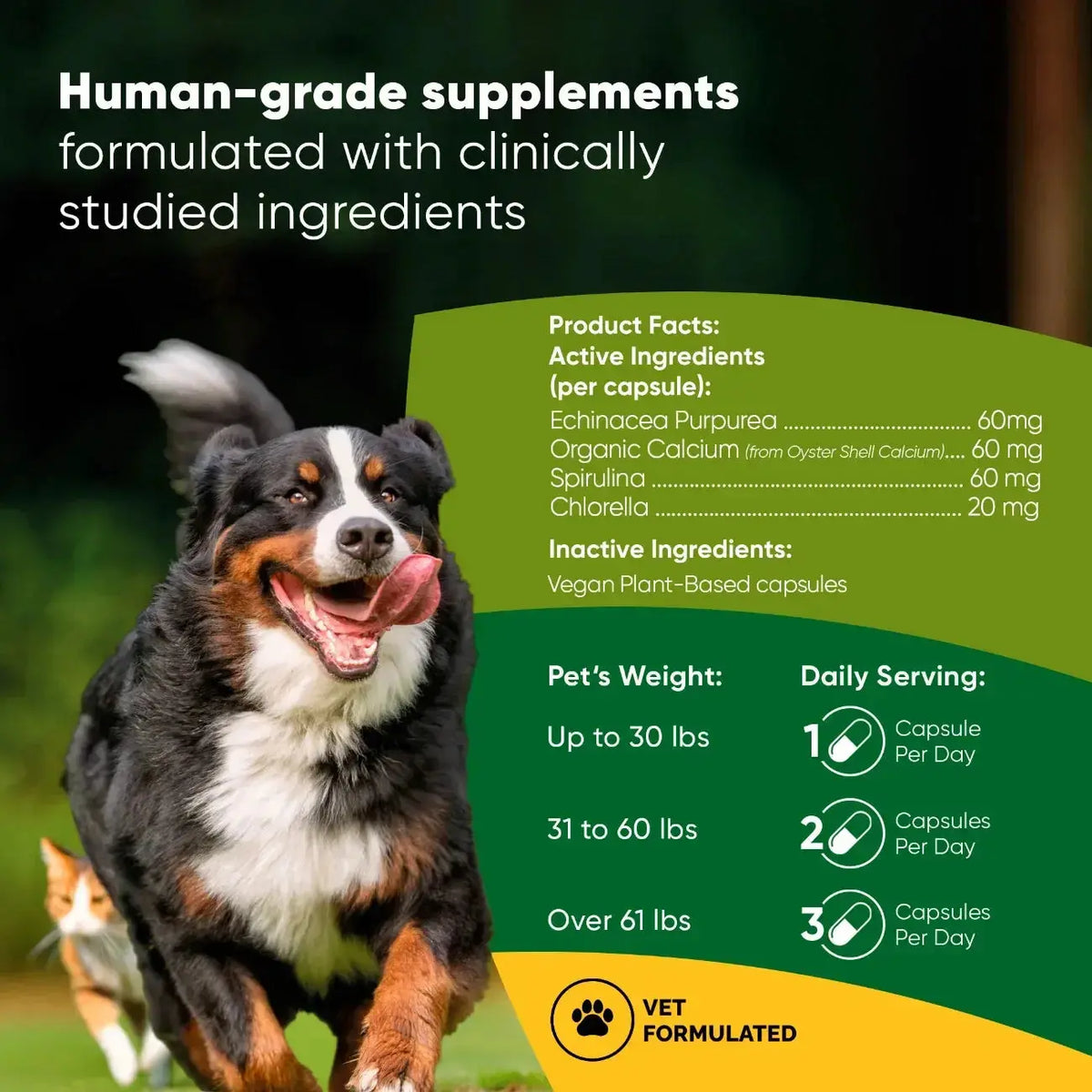 Spirulina & Chlorella Rooted Owl Pet Supplements