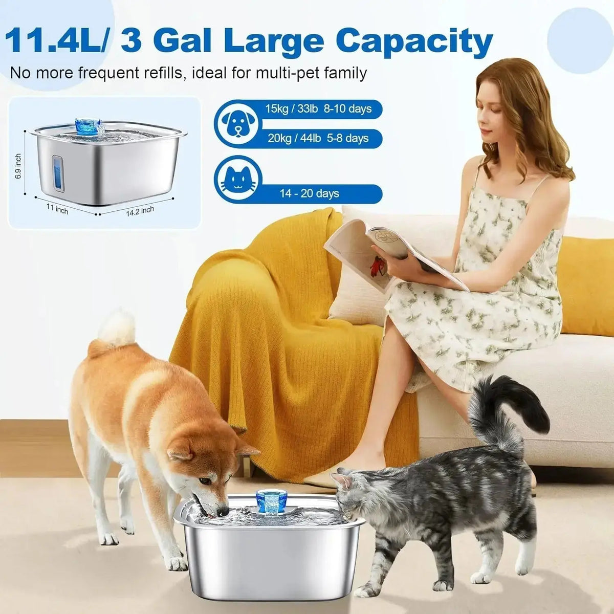 Stainless Steel Dog Water Fountain with Visible Water Level Window for Large Dogs - n/a