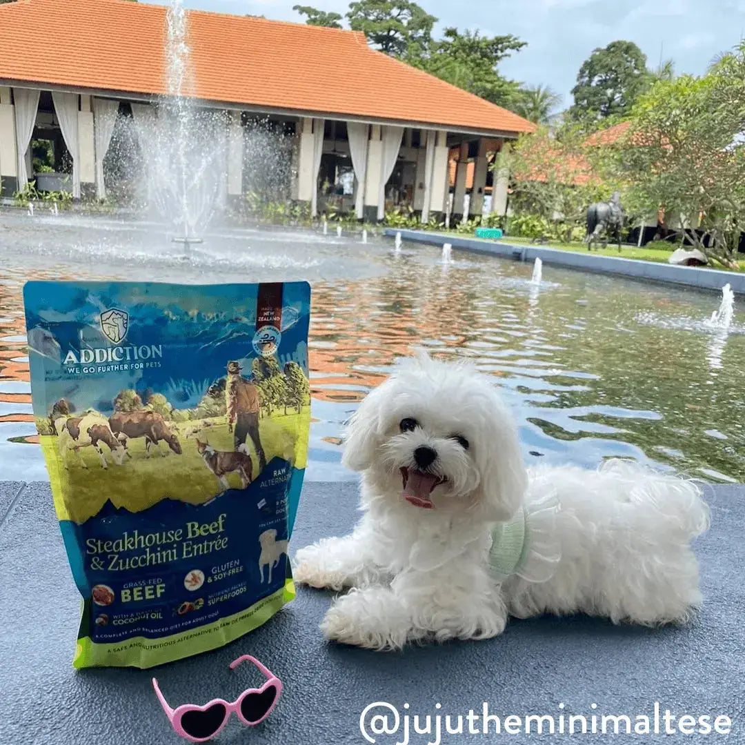 Steakhouse Beef & Zucchini Air-Dried Dog Food Addiction Pet Foods USA