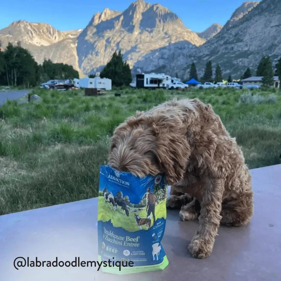 Steakhouse Beef & Zucchini Air-Dried Dog Food Addiction Pet Foods USA