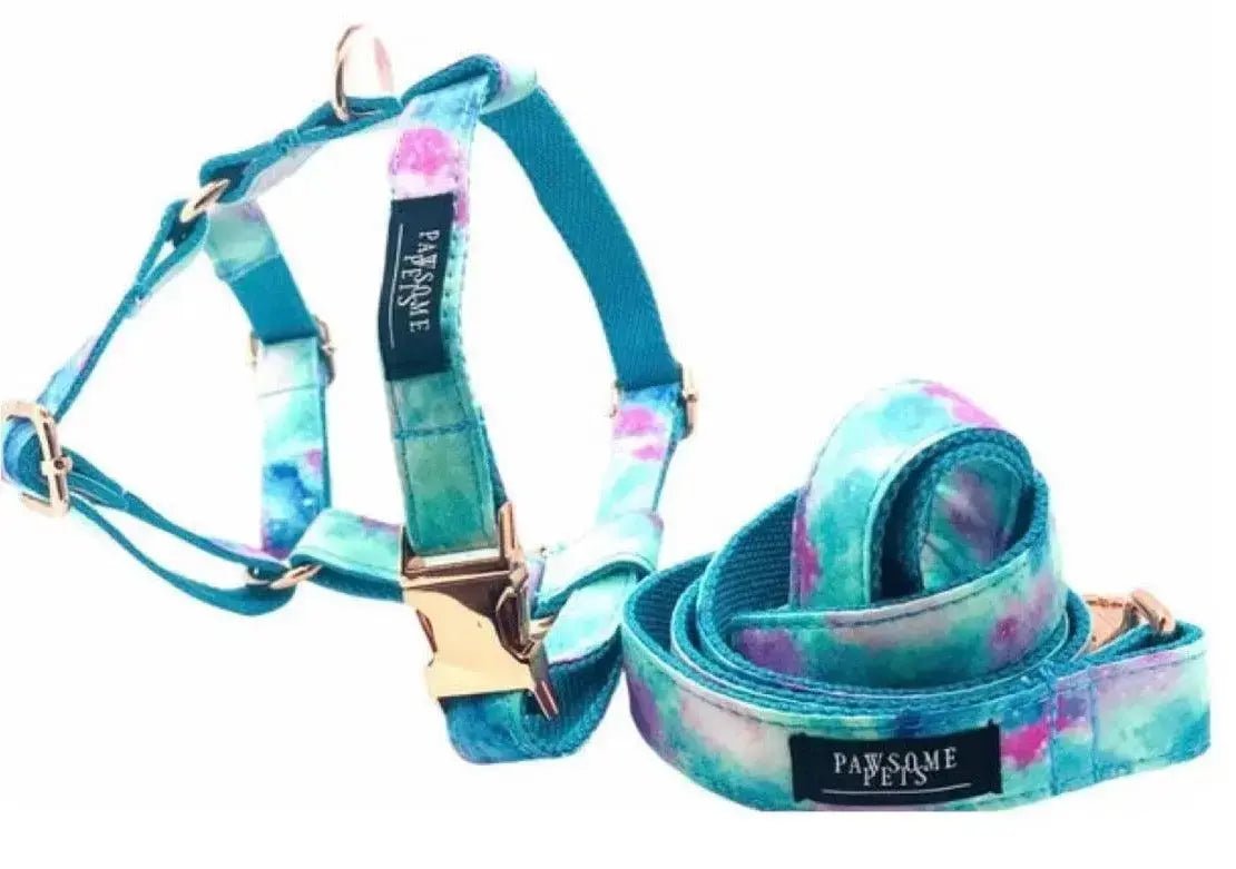 Step In Harness Bundle - Sky (2 Pieces) - rope leash