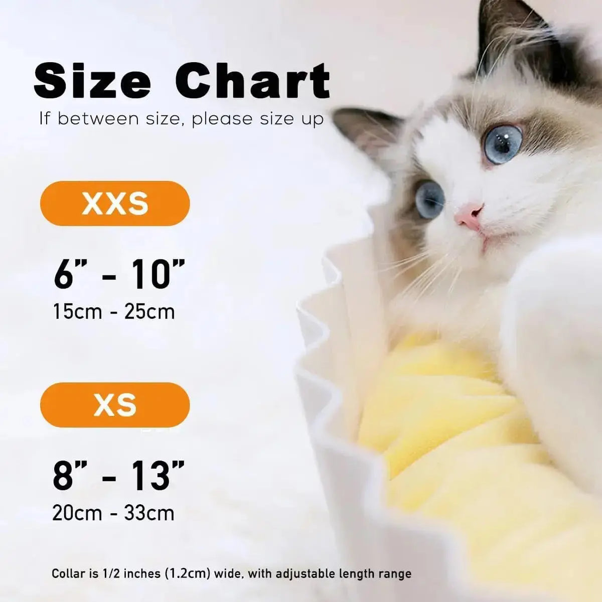 Sushi Cat Collar Bow Tie Set, Breakaway Safety Collar, Wedding/Birthday Bowtie Collar for Kitten