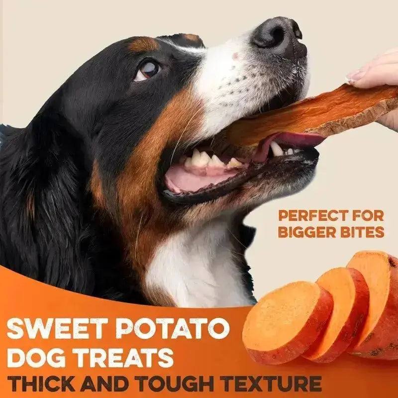 Sweet Potato Dog Treats - USA Grown - Brutus & Barnaby Single Ingredient Dehydrated Sweet Potato Slices, Thick Cut Chews, Grain & Gluten Free, High Fiber, Healthy Training Treats for Puppies & Senior Dogs, Picky Eaters & Sensitive Stomachs