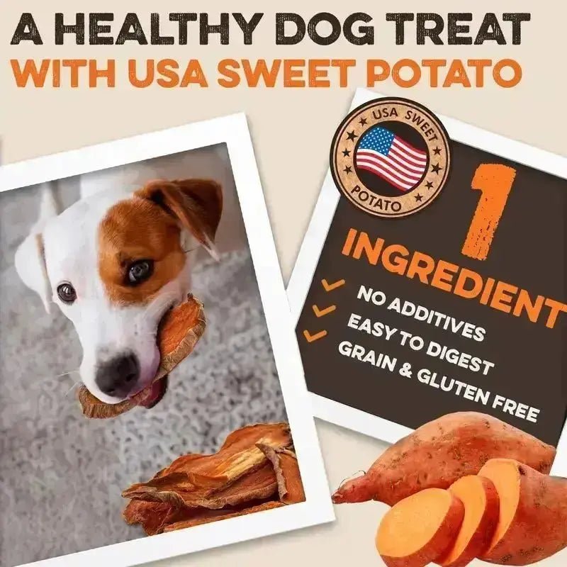 Sweet Potato Dog Treats - USA Grown - Brutus & Barnaby Single Ingredient Dehydrated Sweet Potato Slices, Thick Cut Chews, Grain & Gluten Free, High Fiber, Healthy Training Treats for Puppies & Senior Dogs, Picky Eaters & Sensitive Stomachs