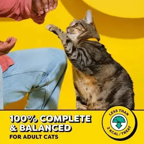 Temptations Jumbo Stuff Crunchy and Soft Cat Treats Tasty Chicken Flavor 14 oz. Tub - Cats