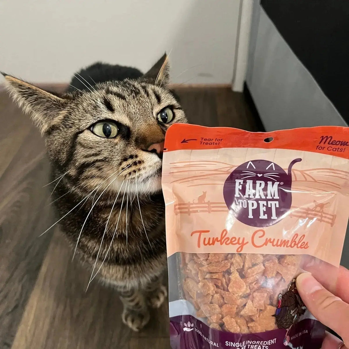 Turkey Cat Treats | Grain-Free Cat Treats - Crumble