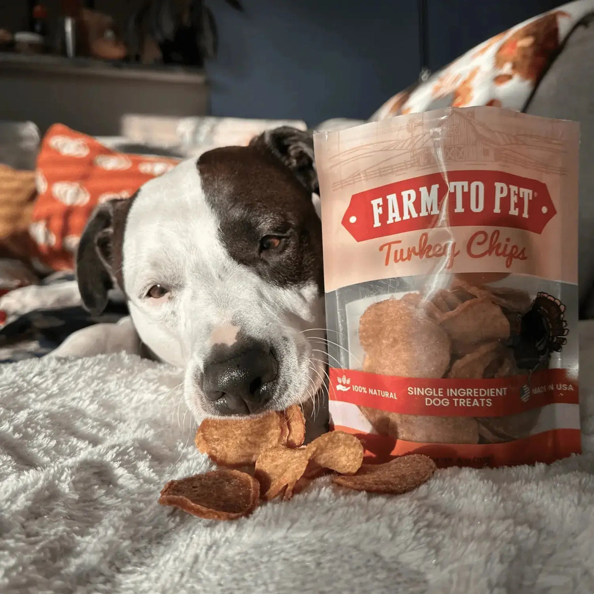 Turkey Dog Treats | All-Natural Single-Ingredient Healthy Dog Treats - Chip