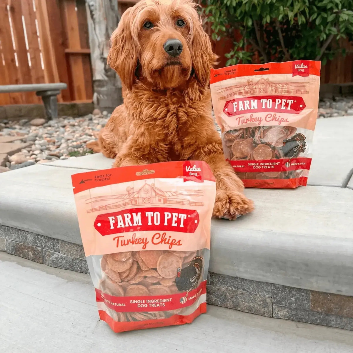 Turkey Dog Treats | All-Natural Single-Ingredient Healthy Dog Treats - Chip