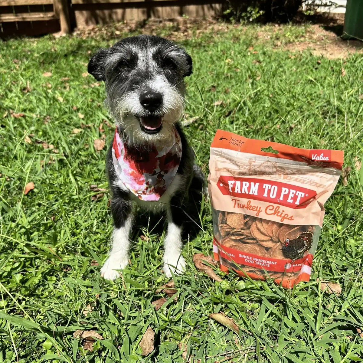 Turkey Dog Treats | All-Natural Single-Ingredient Healthy Dog Treats - Chip