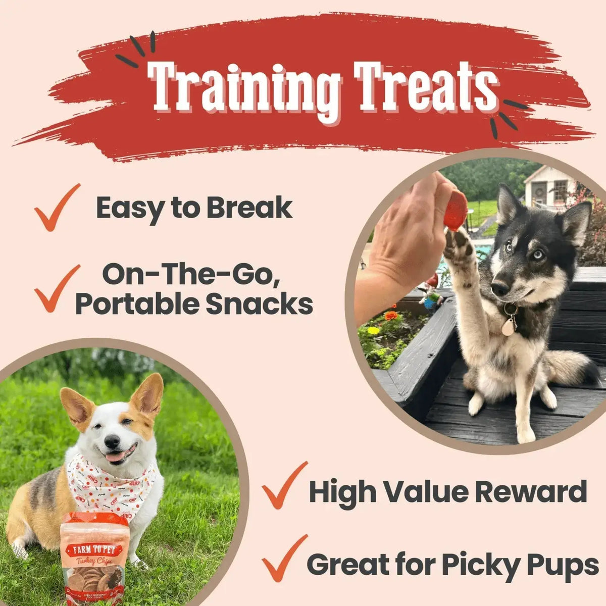 Turkey Dog Treats | All-Natural Single-Ingredient Healthy Dog Treats - Chip
