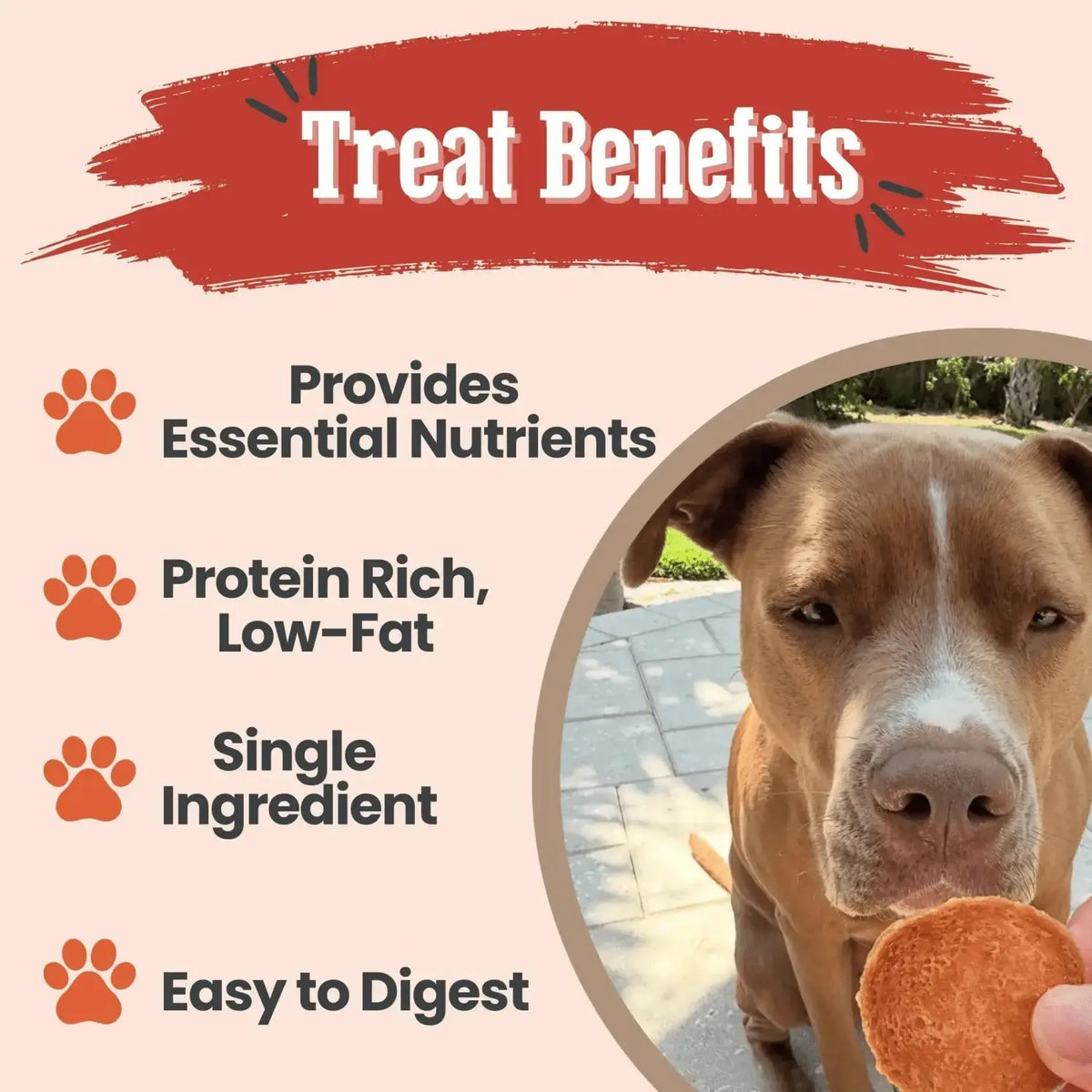Turkey Dog Treats | All-Natural Single-Ingredient Healthy Dog Treats - Chip