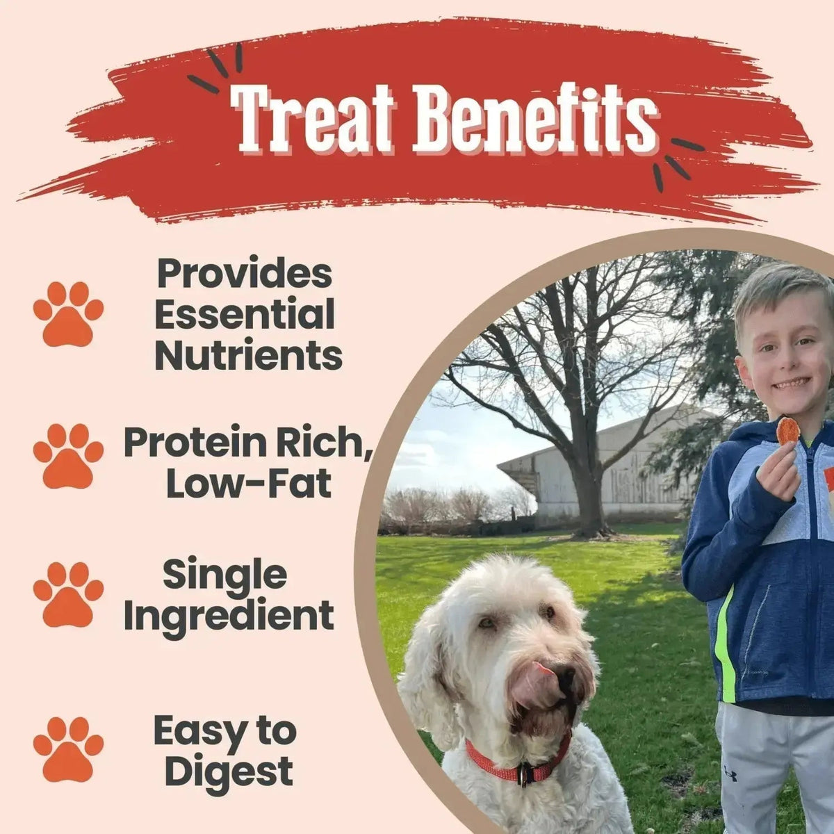 Turkey Dog Treats | All-Natural Single-Ingredient Healthy Dog Treats - Chip