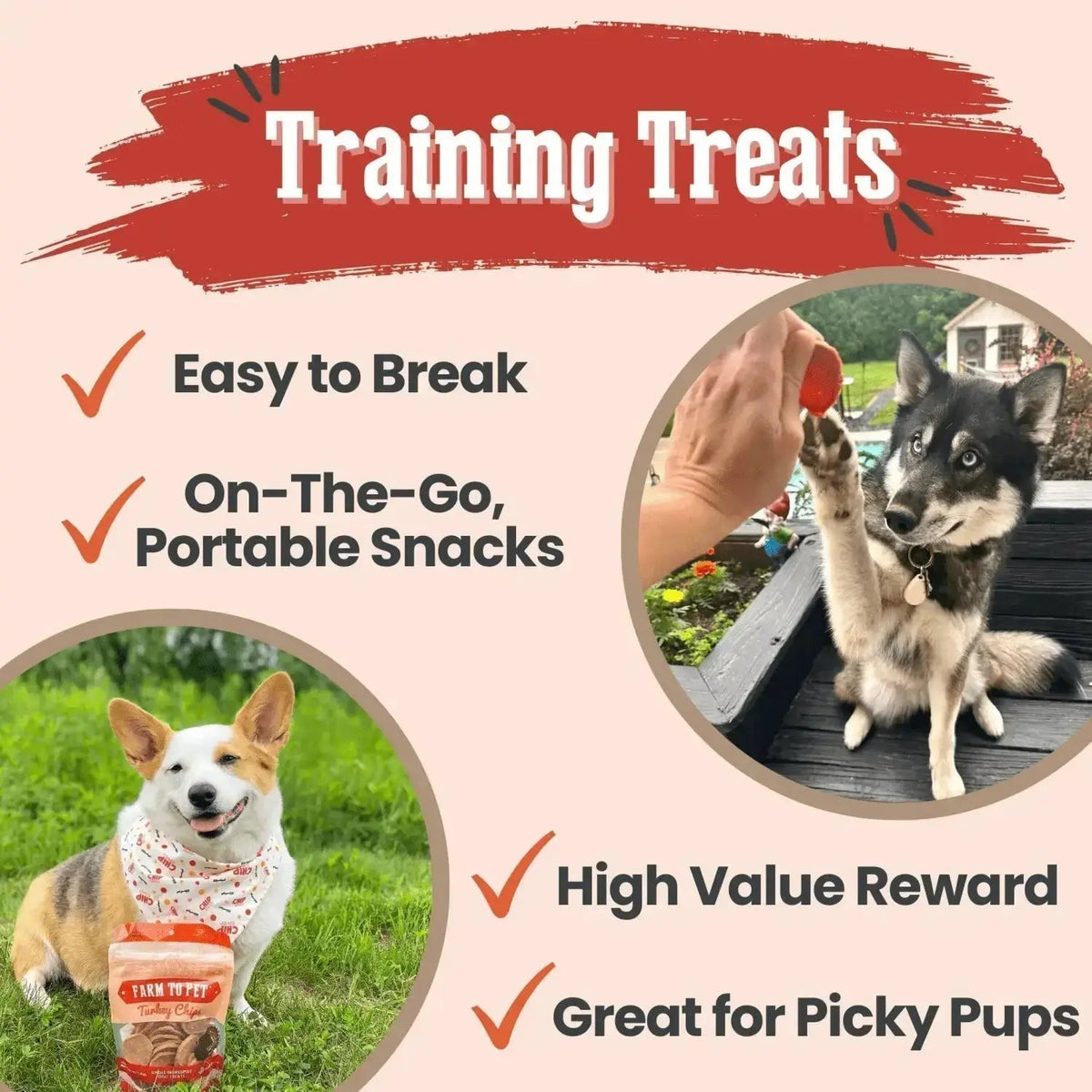 Turkey Dog Treats | All-Natural Single-Ingredient Healthy Dog Treats - Chip