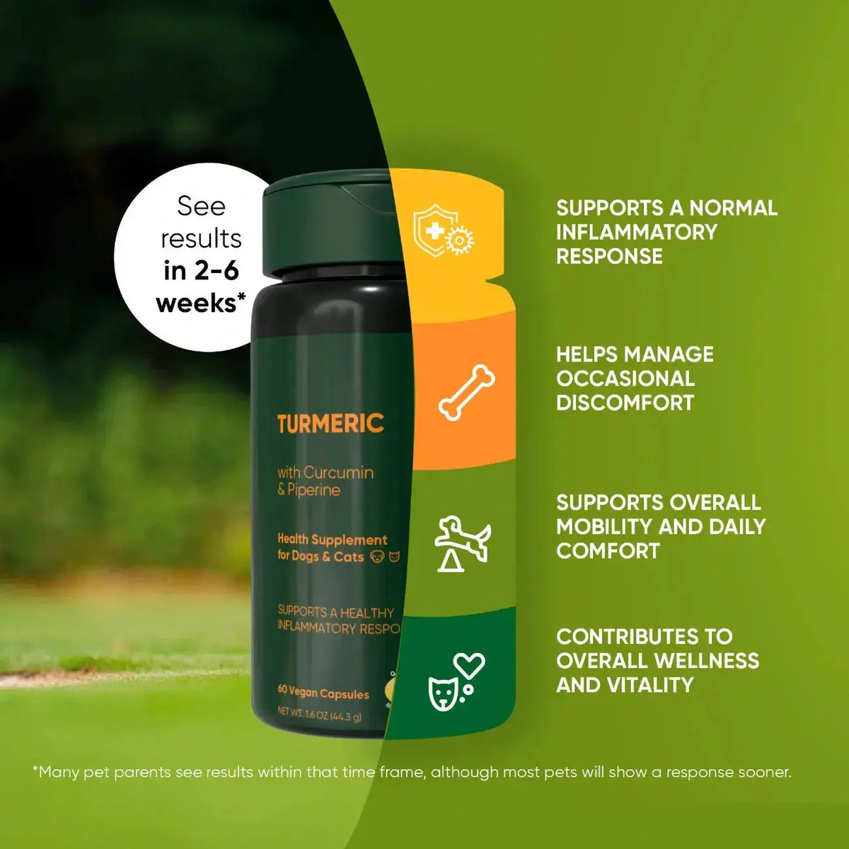Turmeric Rooted Owl Pet Supplements