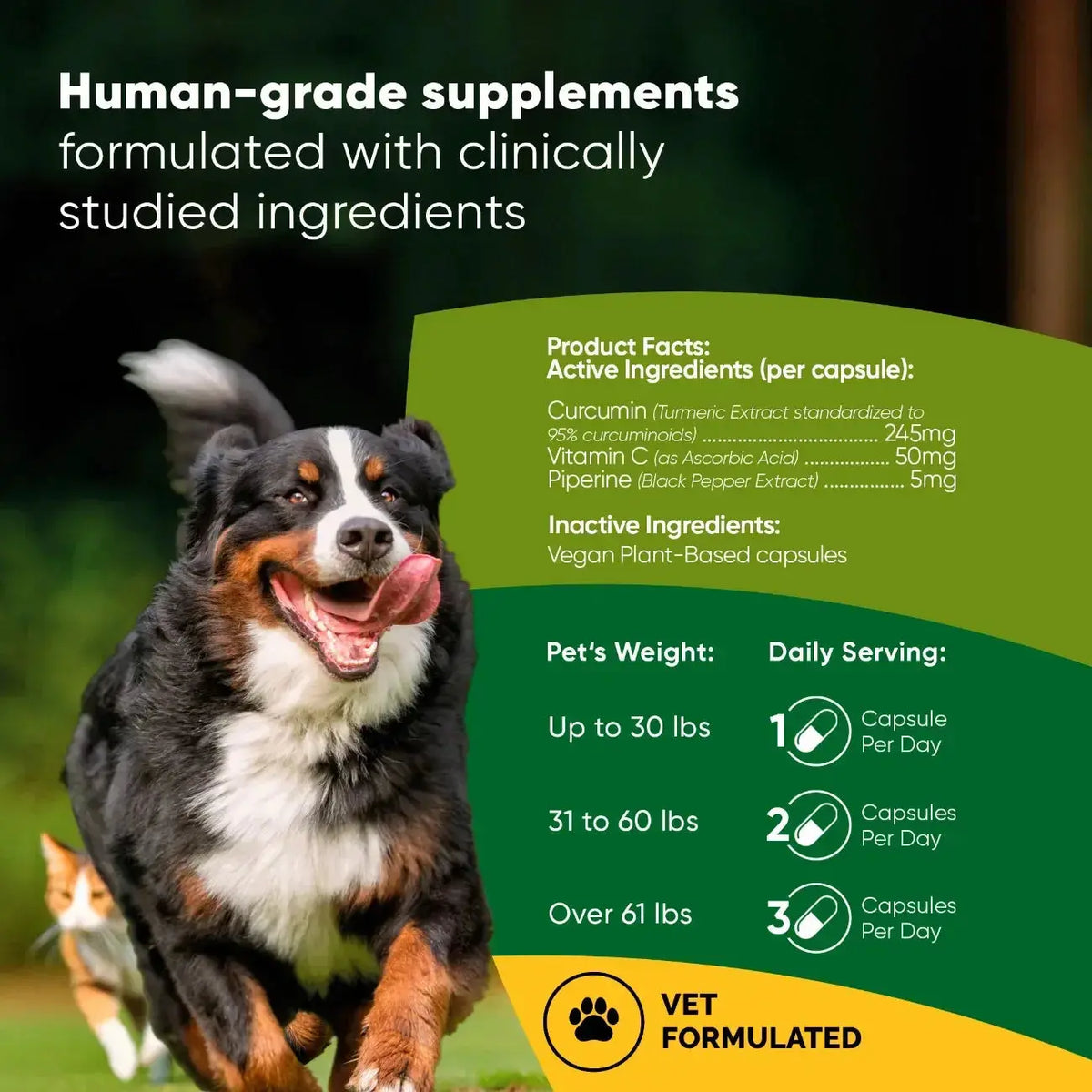 Turmeric Rooted Owl Pet Supplements