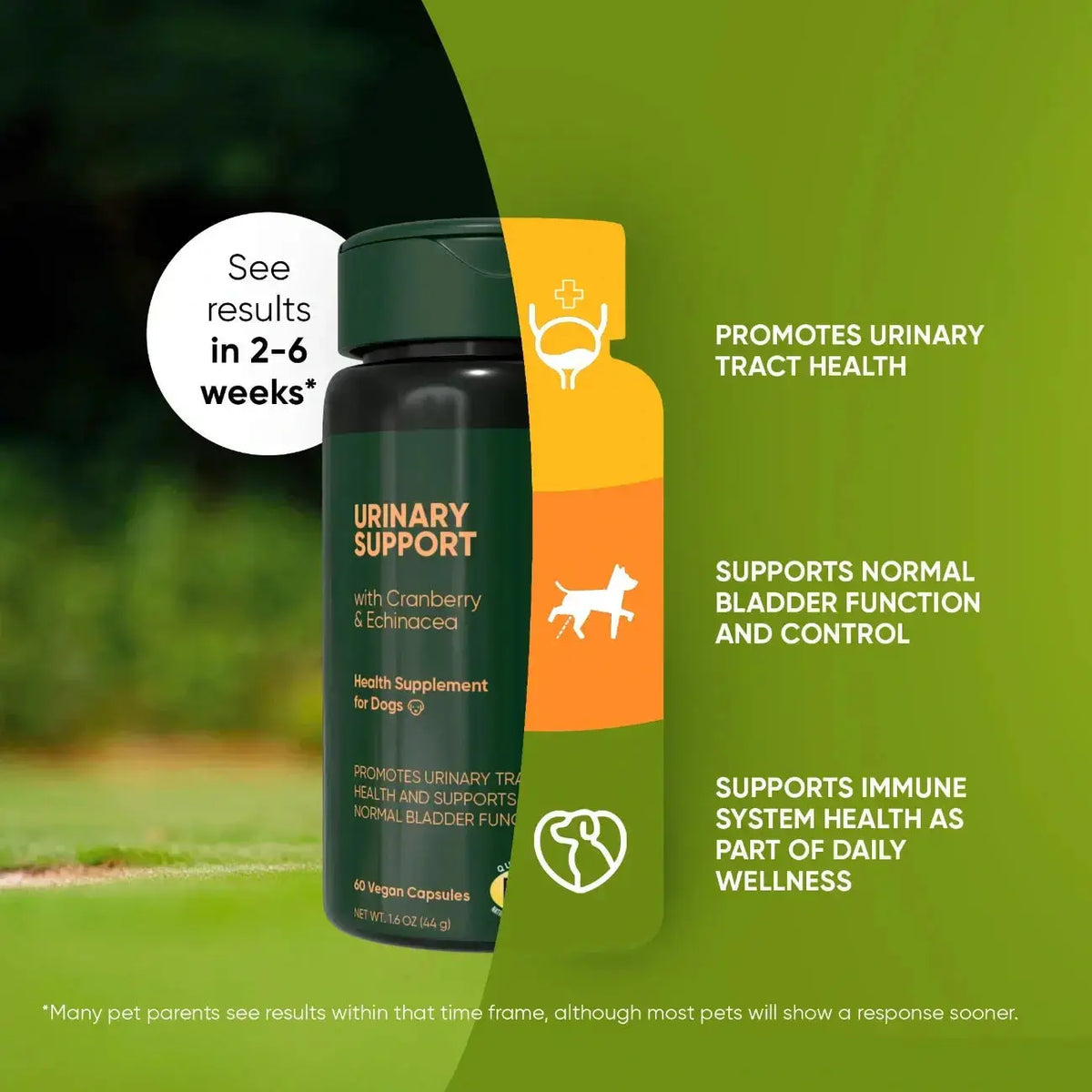 Urinary Support Rooted Owl Pet Supplements