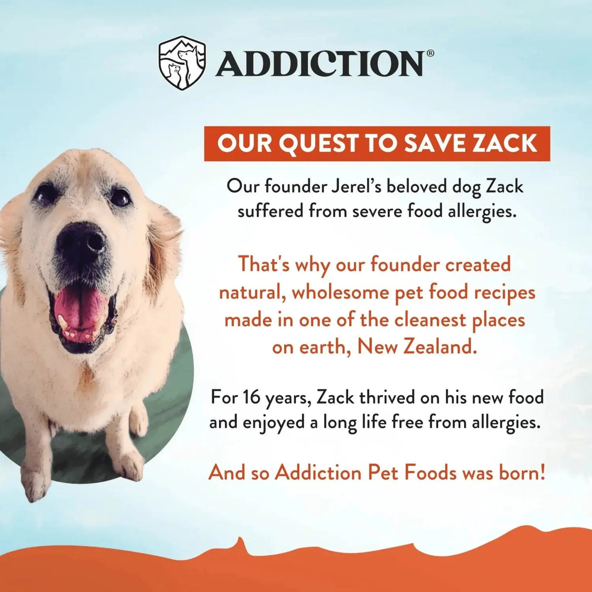 Venison Meaty Bites - Hypoallergenic Dog Treats Addiction Pet Foods USA