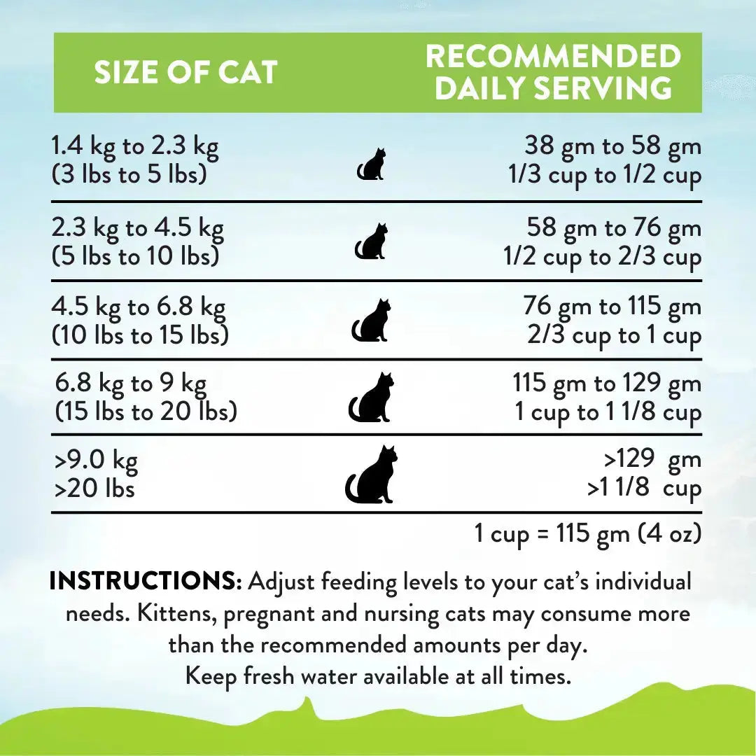 Viva La Venison Dry Cat Food Addiction Pet Foods USA