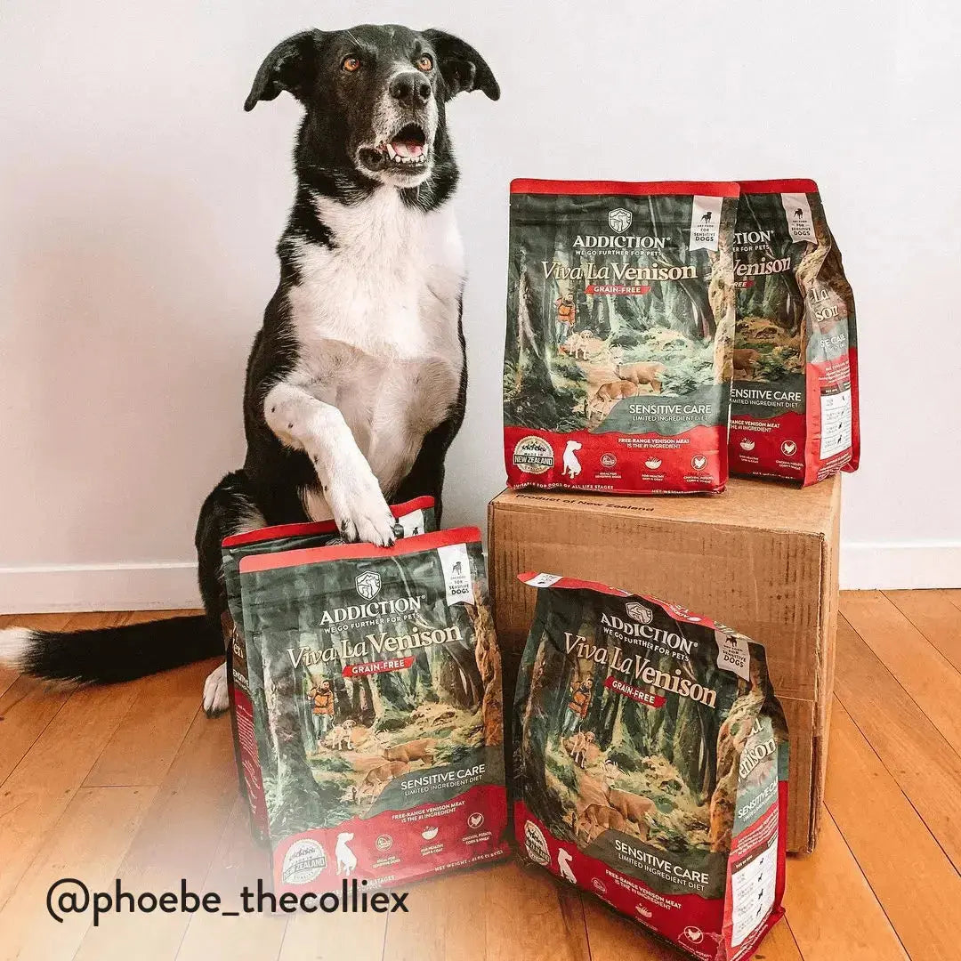 Viva La Venison Dry Dog Food Addiction Pet Foods USA
