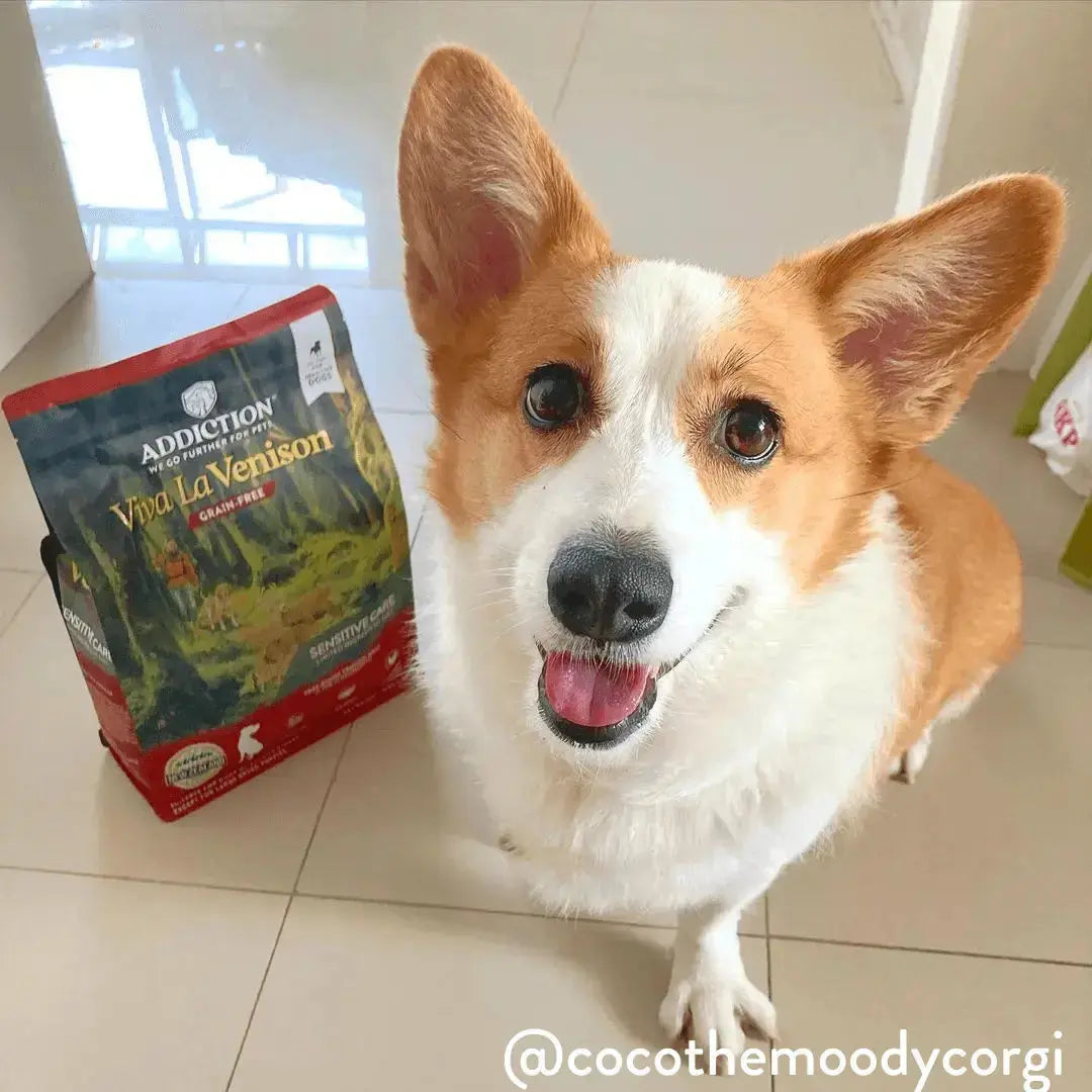 Viva La Venison Dry Dog Food Addiction Pet Foods USA