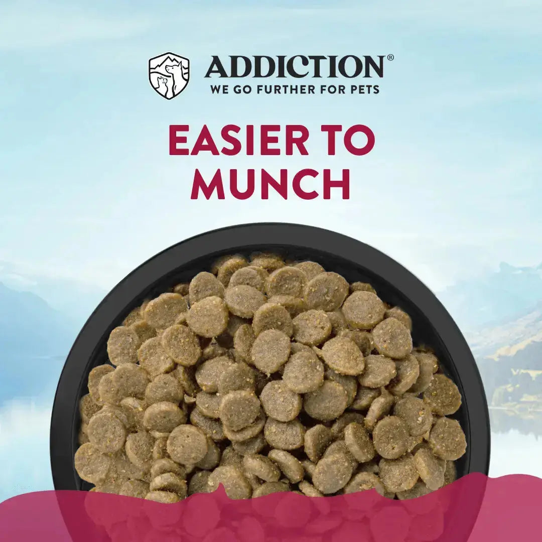 Viva La Venison Grain-free Premium Venison Small Breed Dry Dog Food Addiction Pet Foods USA