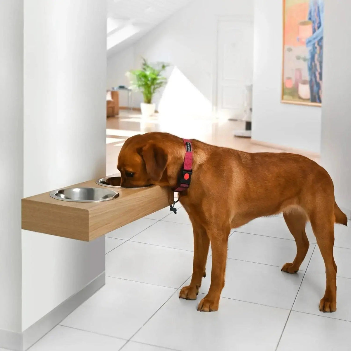 Wall Mounted Dog Feeder Hanging Wooden Pet Feeding Station - Large (56 x 24 x 9.5 cm) / Oak - Pet Feeding Stand