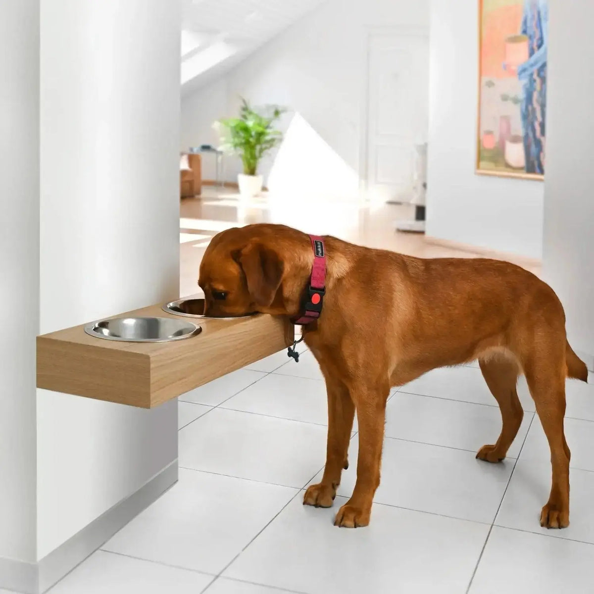Wall Mounted Dog Feeder Hanging Wooden Pet Feeding Station - Large (56 x 24 x 9.5 cm) / Oak - Pet Feeding Stand