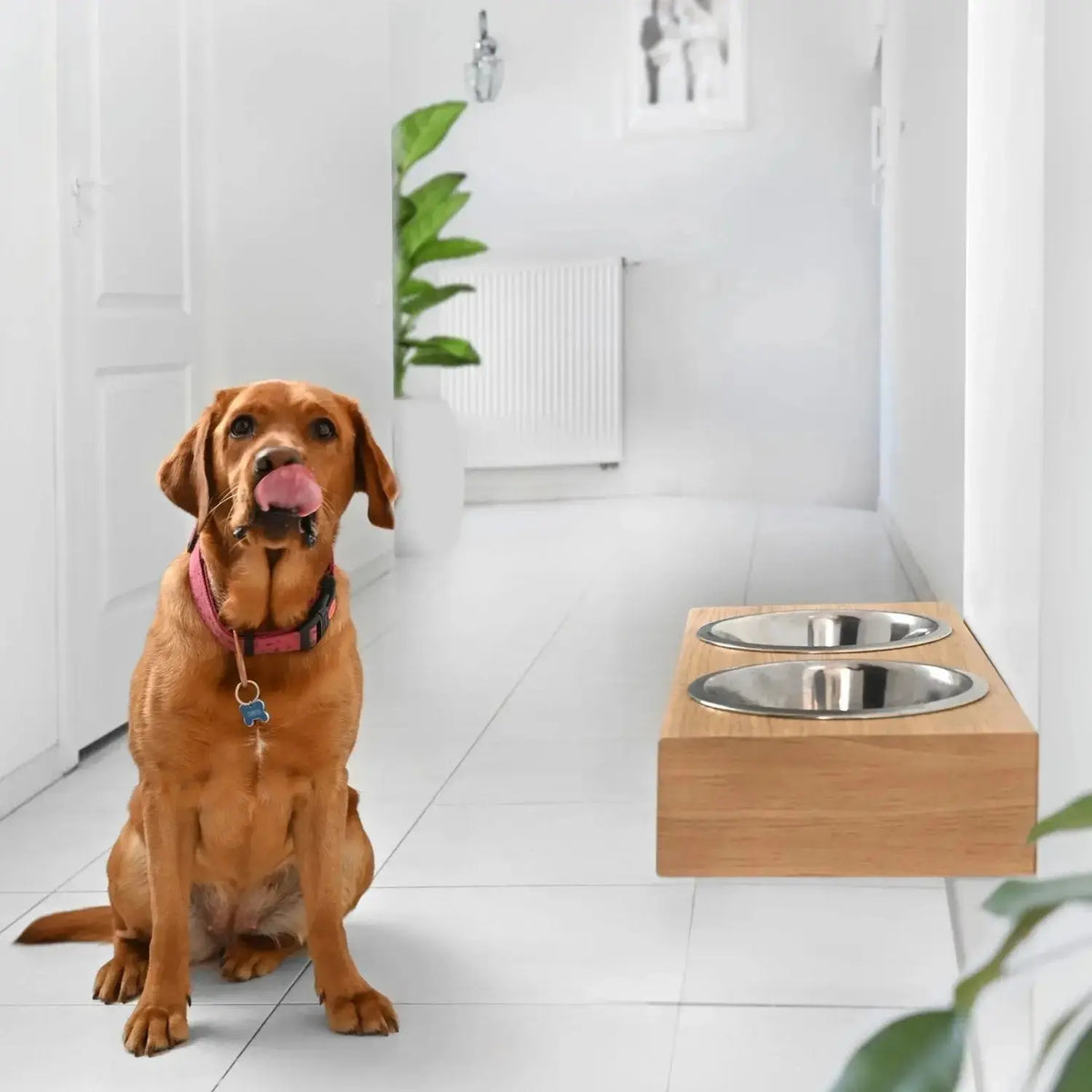 Wall Mounted Dog Feeder Hanging Wooden Pet Feeding Station - Pet Feeding Stand