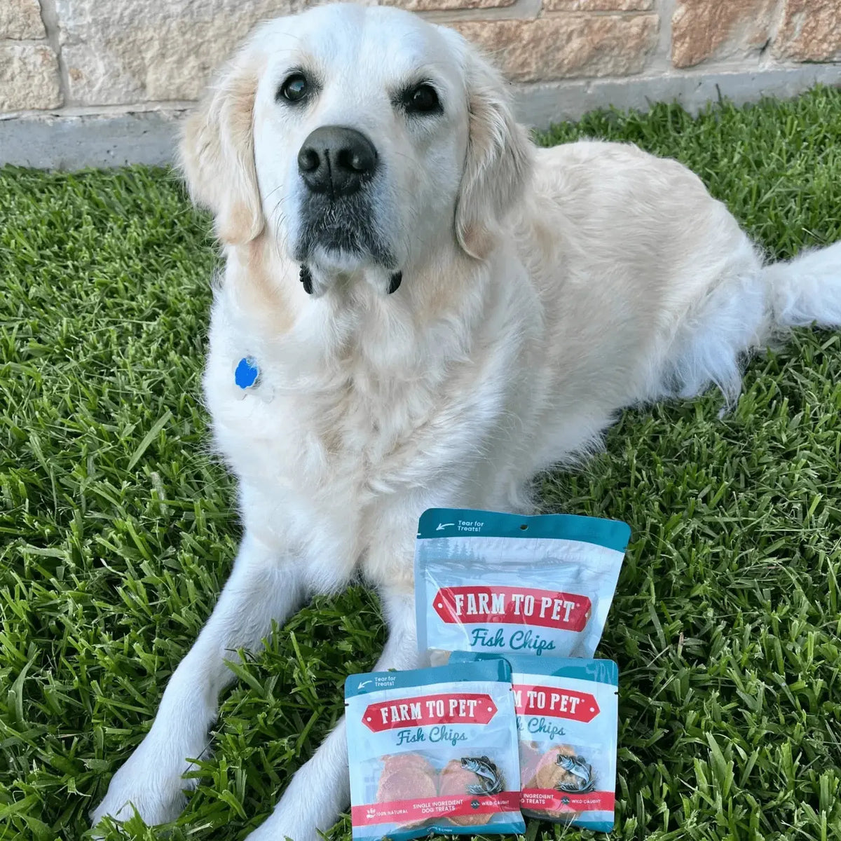 Walleye dog treats Snack Pack Bundles | Training & Travel - Snack Pack