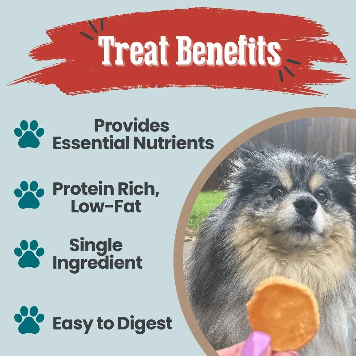 Walleye dog treats Snack Pack Bundles | Training & Travel - Snack Pack