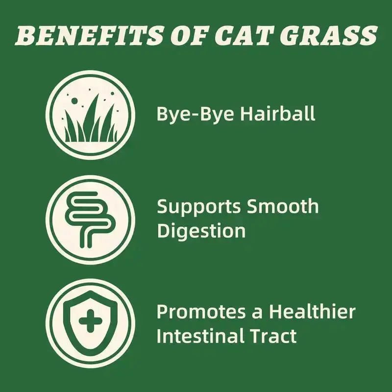 Wellix Dog & Cat Freeze Dried Food Topper Cat Grass, Chicken, Egg Yolk Flavor, Helps Hairball Removal Mixed Meal Topper 7.5 OZ #Sohochic