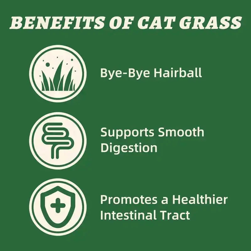 Wellix Dog & Cat Freeze Dried Food Topper Cat Grass, Chicken, Egg Yolk Flavor, Helps Hairball Removal Mixed Meal Topper 7.5 OZ #Sohochic