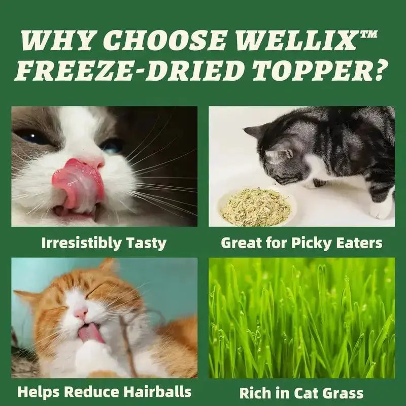 Wellix Dog & Cat Freeze Dried Food Topper Cat Grass, Chicken, Egg Yolk Flavor, Helps Hairball Removal Mixed Meal Topper 7.5 OZ #Sohochic