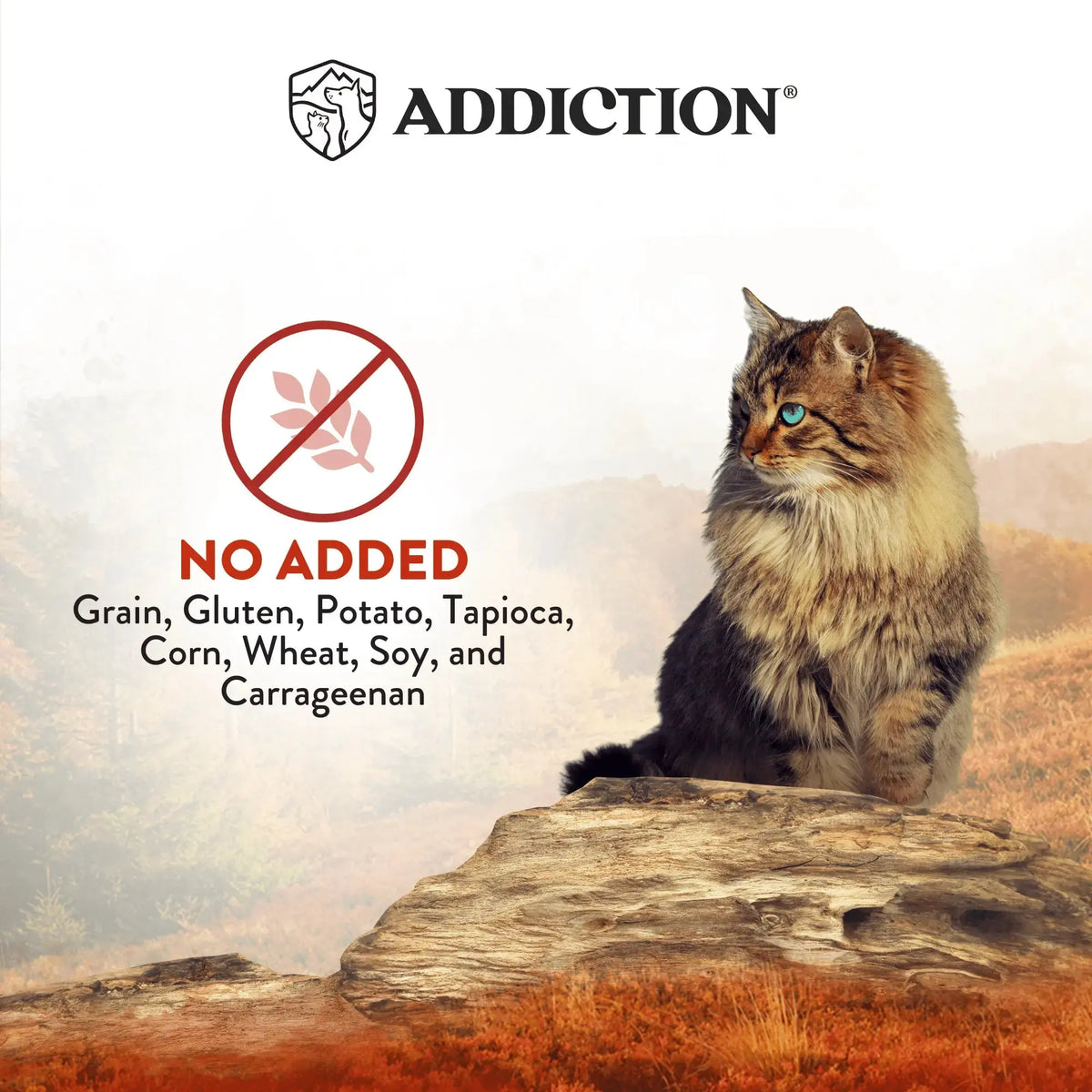 Wild Islands Canned Cat Food Mix Flavor Bundle 185g Addiction Pet Foods USA