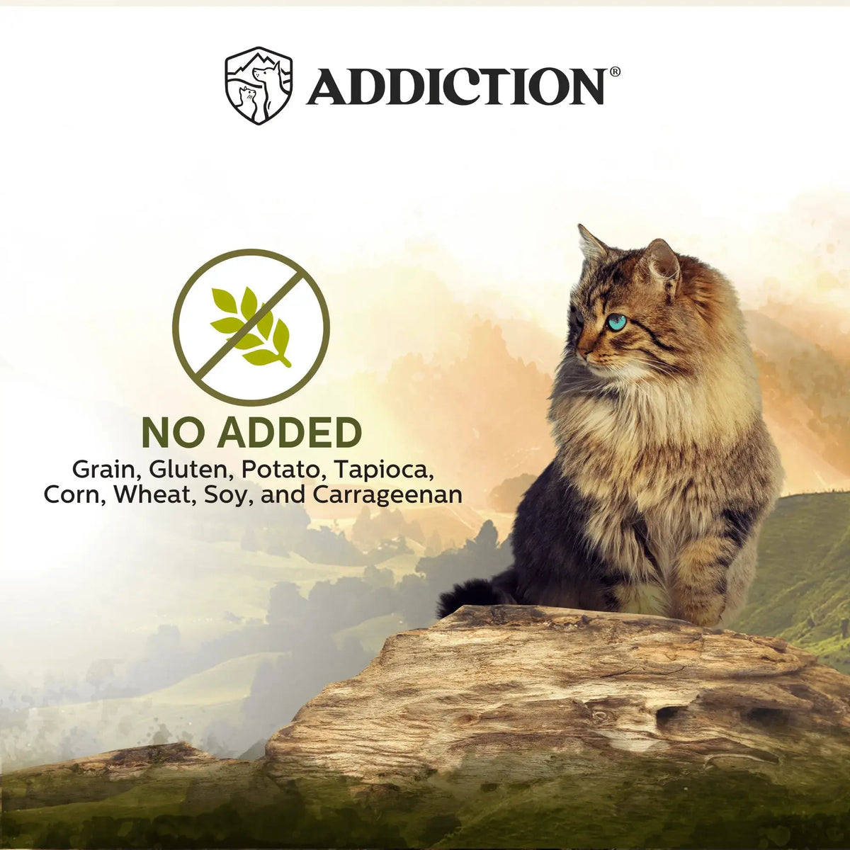 Wild Islands Highland Meats Premium Lamb & Beef Grain-Free Canned Cat Food Addiction Pet Foods USA
