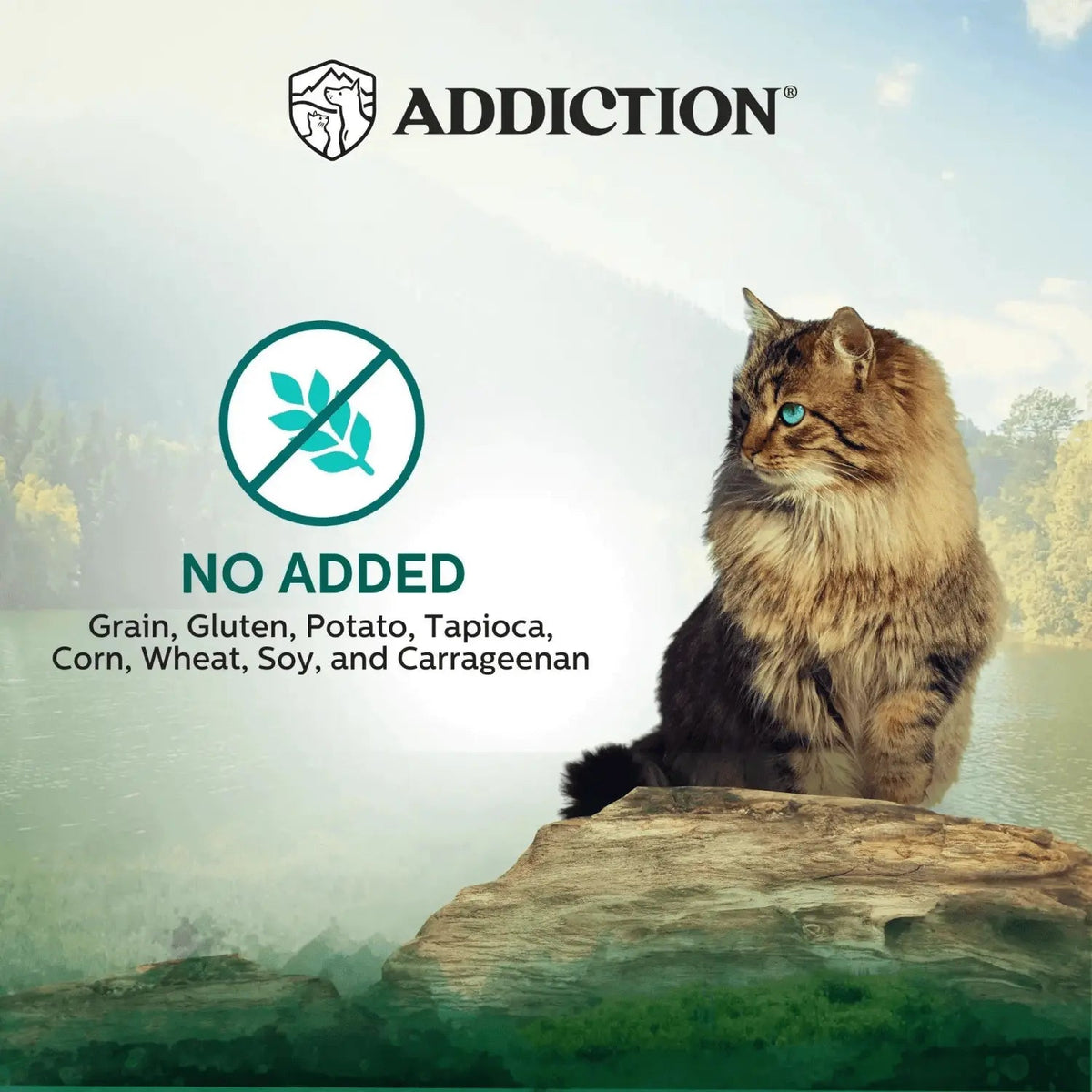 Wild Islands Island Birds Premium Chicken & Turkey Grain-Free Canned Cat Food Addiction Pet Foods USA