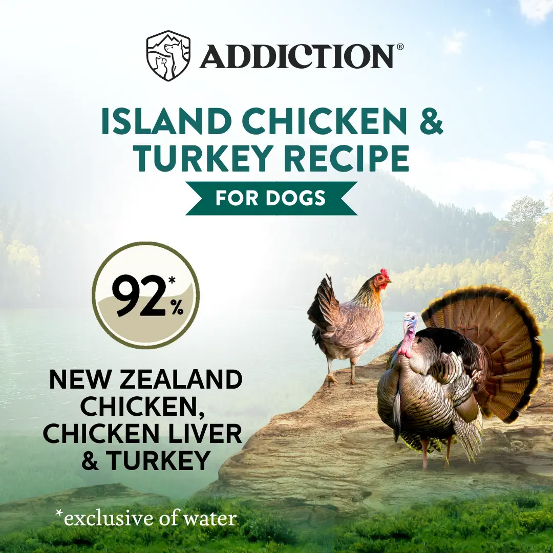 Wild Islands Island Chicken & Turkey Recipe Premium Grain-free Canned Dog Food 185g Addiction Pet Foods USA